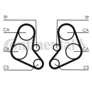 Zahnriemen CONTINENTAL CTAM CT886 für Lancia Thema