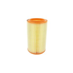 Luftfilter VAICO V46-0073 für Renault Citroën Jeep 18