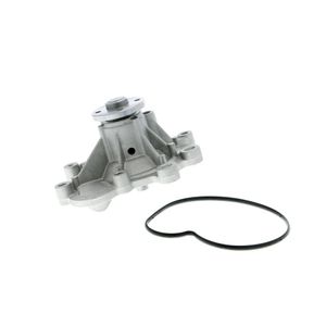 Wasserpumpe Motorkühlung VAICO V30-50088 für Mercedes-Benz C