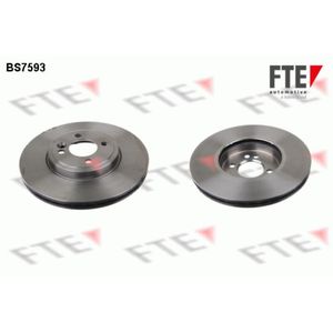 Bremsscheibe FTE 9072503 (2 Stk.) für Mini