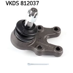 Trag-/Führungsgelenk SKF VKDS 812037