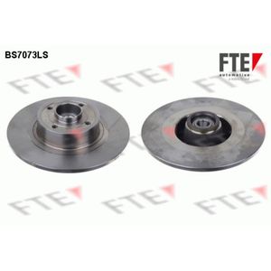 Bremsscheibe FTE 9071393 (2 Stk.) für Renault Megane II Grandtour Scénic