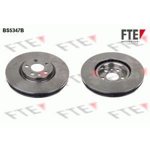 Bremsscheibe FTE 9081014 (2 Stk.) für Fiat Lancia Citroën Peugeot Scudo Phedra