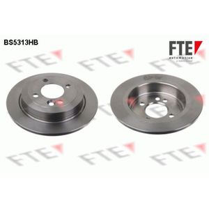 Bremsscheibe FTE 9082563 (2 Stk.) für Mini Roadster Clubman