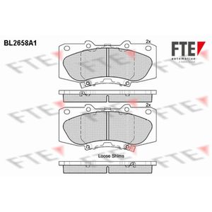 Bremsbelagsatz Scheibenbremse FTE 9010897