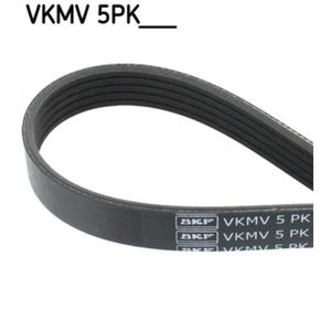 Keilrippenriemen SKF VKMV 5PK1025 für Ford Escort V Express