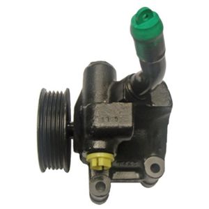 Hydraulikpumpe Lenkung LIZARTE 04.05.1242 für Ford Fiesta V Fusion