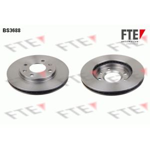 Bremsscheibe FTE 9072586 (2 Stk.) für Citroën Peugeot AX