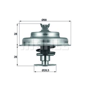 Thermostat Kühlmittel MAHLE TX 75 80D für Ford Renault Citroën Peugeot Rover Jeep