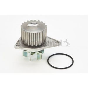 Wasserpumpe Motorkühlung CONTINENTAL CTAM WP6007 für Citroën Peugeot AX