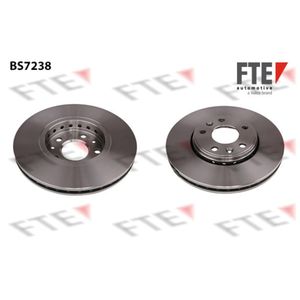 Bremsscheibe FTE 9071029 (2 Stk.) für Renault Megane III Grandtour