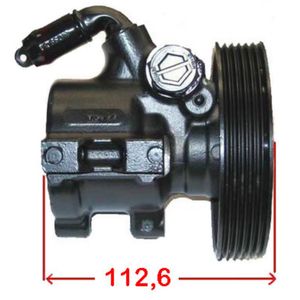 Hydraulikpumpe Lenkung LIZARTE 04.05.0303-6 für Citroën Peugeot ZX